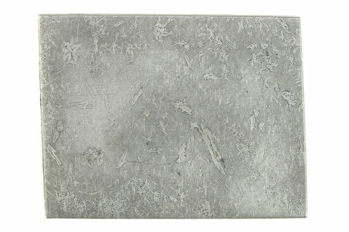 Balambala Iron Meteorite Slice ( g) - Rare IIF Iron #284603